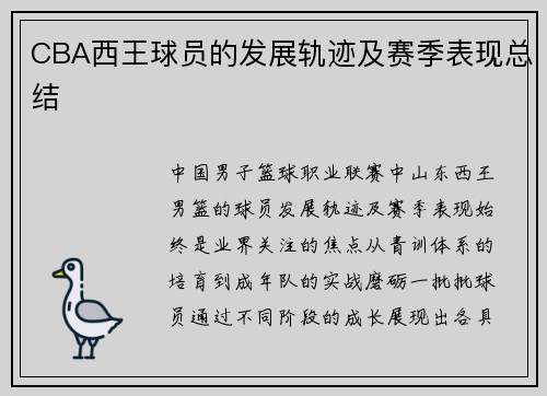 CBA西王球员的发展轨迹及赛季表现总结