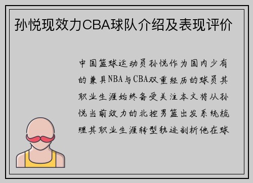 孙悦现效力CBA球队介绍及表现评价